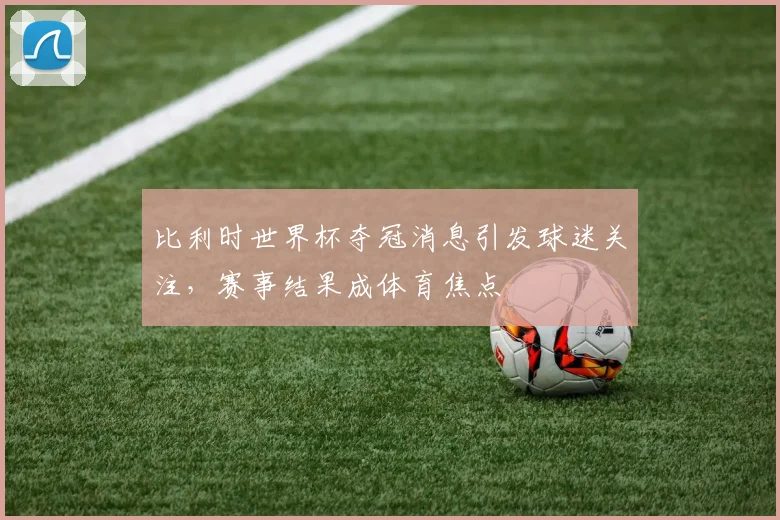 比利时世界杯夺冠消息引发球迷关注,赛事结果成体育焦点
