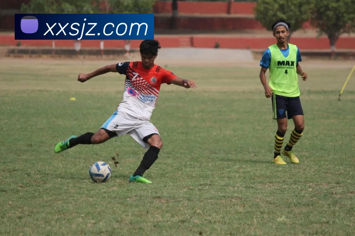 多媒体互动体验